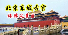 人妻乳液中国北京-东城古宫旅游风景区
